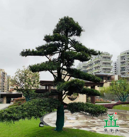 湖南完美体育生态环境建设有限公司,人造草坪假草皮,湖南雨水收集处理工艺