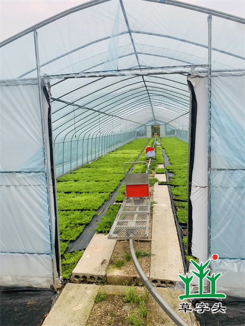 湖南完美体育生态环境建设有限公司,人造草坪假草皮,湖南雨水收集处理工艺